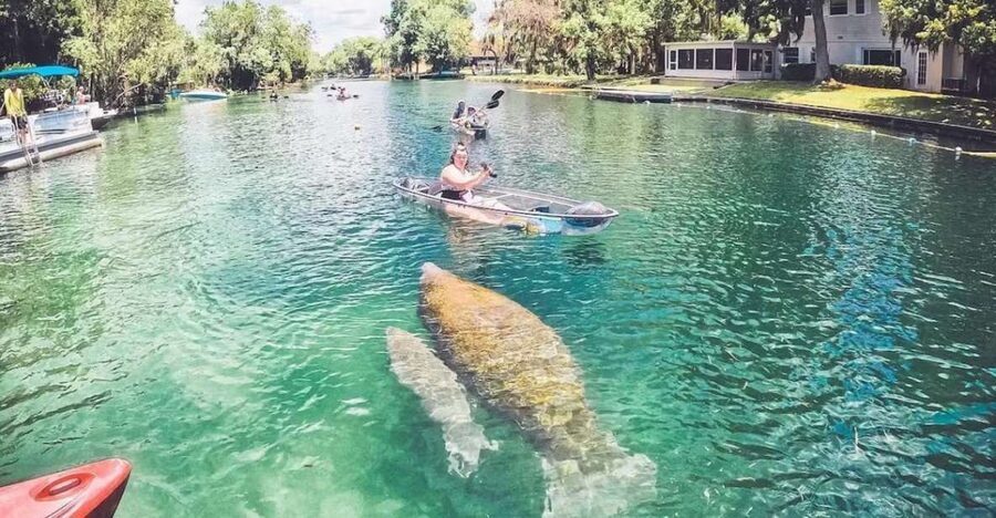 Crystal River: Three Sisters Springs Eco Tour by Clear Kayak - Following the Guide Through Crystal River