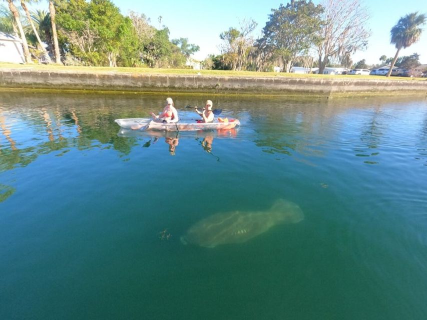 Crystal River: Three Sisters Springs Eco Tour by Clear Kayak - Seeing Manatees Without Getting Wet