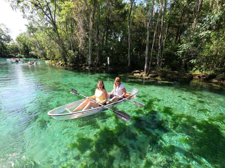 Crystal River: Three Sisters Springs Eco Tour by Clear Kayak - Three Sisters Springs From April Through November