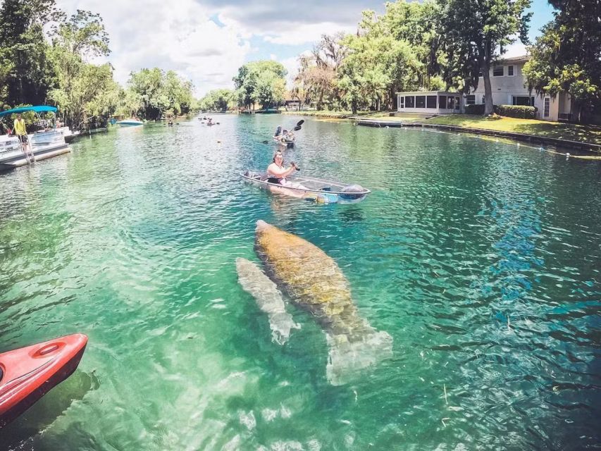 Crystal River: Three Sisters Springs Eco Tour by Clear Kayak - Who Will Enjoy This Tour Most