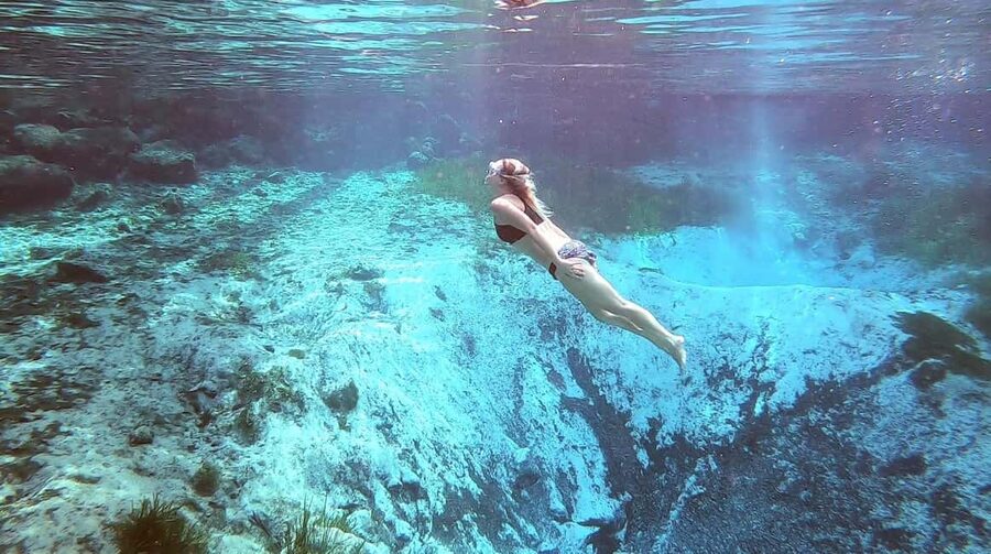 Crystal River:Three Sisters Springs Guided Kayak & Swim Tour - Five details worth knowing before you book