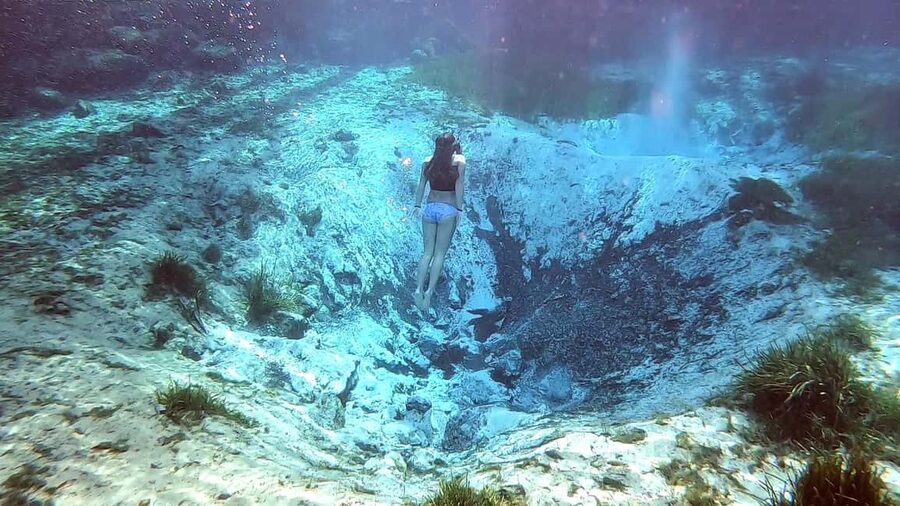 Crystal River:Three Sisters Springs Guided Kayak & Swim Tour - Wildlife watching with a guide