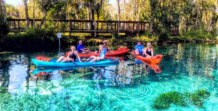 Crystal River:Three Sisters Springs Guided Kayak & Swim Tour - Is the $84 price fair?