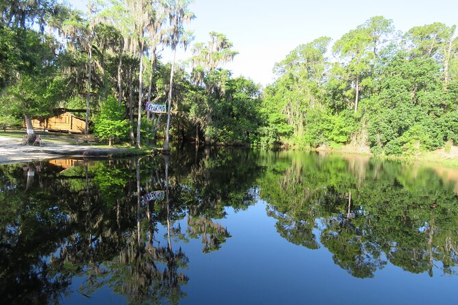 Cypress Forest: Guided Nature Kayak Eco-Tour - Starting at Shingle Creek near Kissimmee