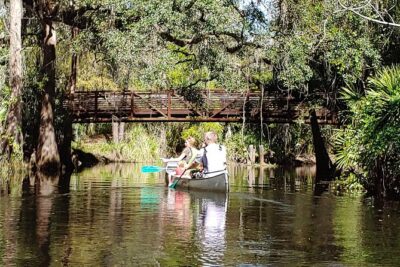 Guided Nature Kayak Eco-Tour