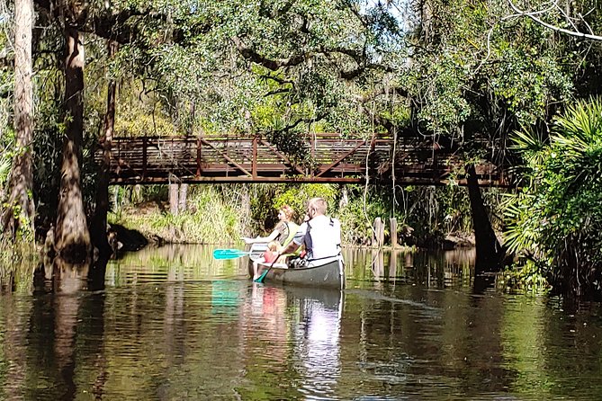 Cypress Forest: Guided Nature Kayak Eco-Tour - Entering the cypress forest
