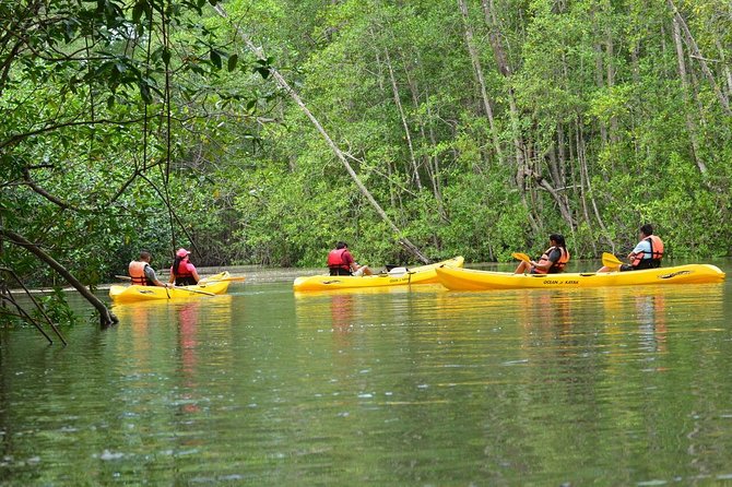 Damas Island Mangrove Kayaking Tour from Manuel Antonio - Key points before you book