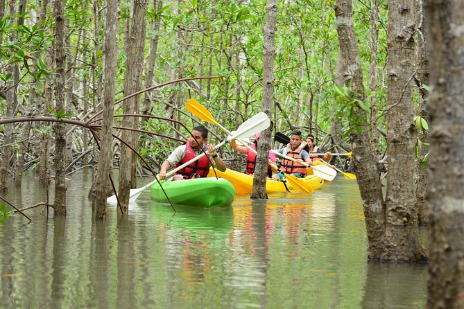 Damas Island Mangrove Kayaking Tour from Manuel Antonio - Why the tide controls your start time