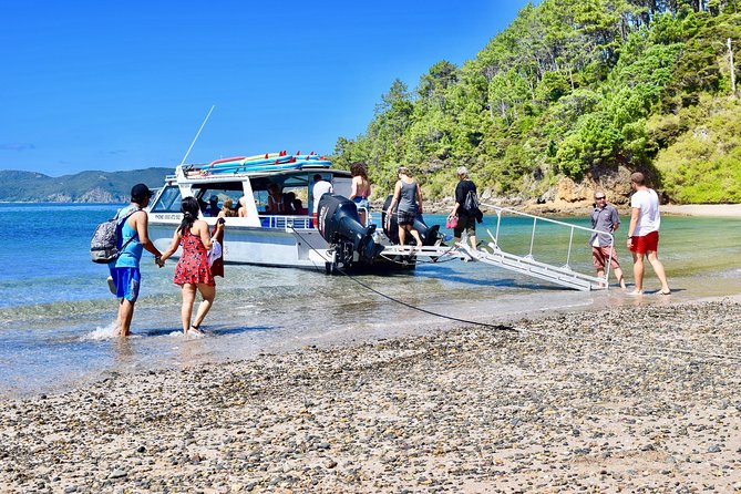 Day Cruise & Island Tour - Snorkel/Wildlife/Paddleboard/Islands - Key points to know before booking