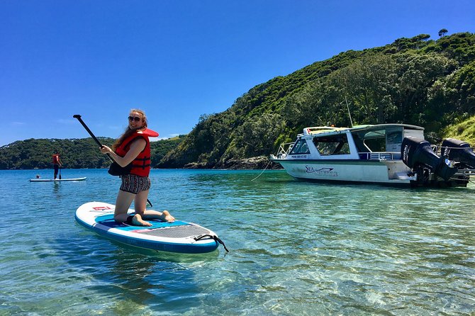Day Cruise & Island Tour - Snorkel/Wildlife/Paddleboard/Islands - Why this cruise works so well in the Bay of Islands