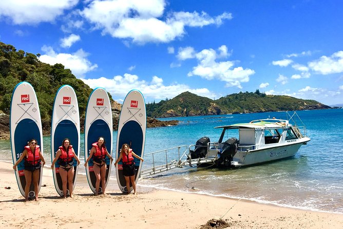 Day Cruise & Island Tour - Snorkel/Wildlife/Paddleboard/Islands - The cruise itself adds local history and wildlife watching