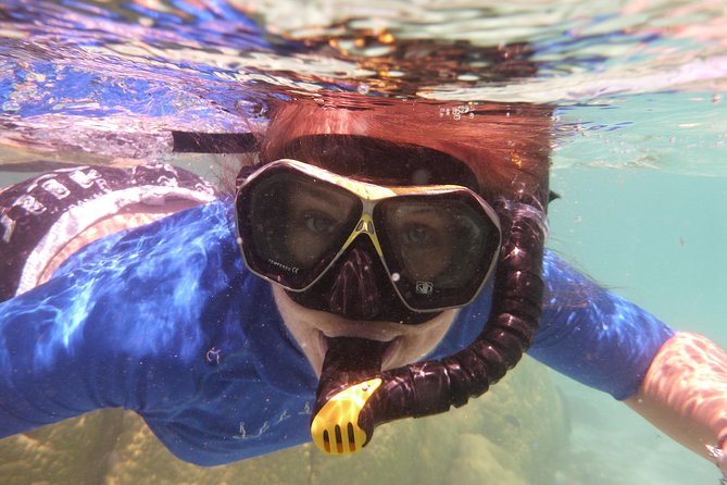 Day Cruise & Island Tour - Snorkel/Wildlife/Paddleboard/Islands - Roberton Island brings the best viewpoint