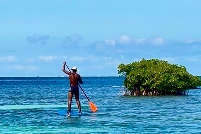 Day Lagoon 100% Sailing stops Snorkelling Paddle - Food: one important point to clarify
