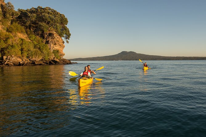 Day sea kayak tour Rangitoto Island - Key points at a glance