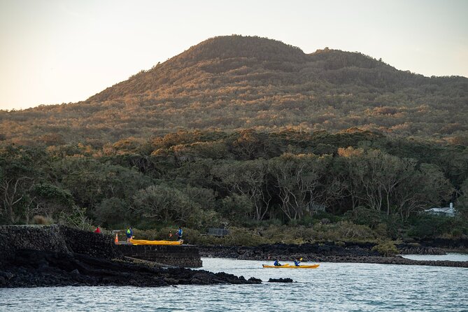 Day sea kayak tour Rangitoto Island - BBQ lunch beside the water
