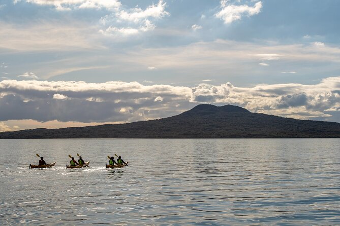 Day sea kayak tour Rangitoto Island - Guides, pairings, and group comfort