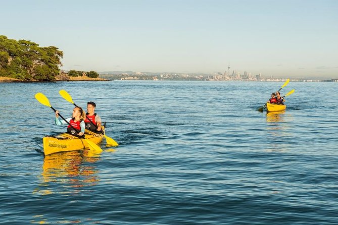 Day sea kayak tour Rangitoto Island - Is $152.04 good value?