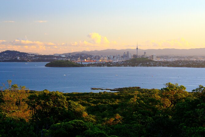 Day sea kayak tour Rangitoto Island - Climbing Auckland’s youngest volcano