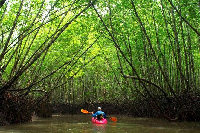 Deep Mangrove and Canyon Kayak Tour in Krabi - Key points to know before you book