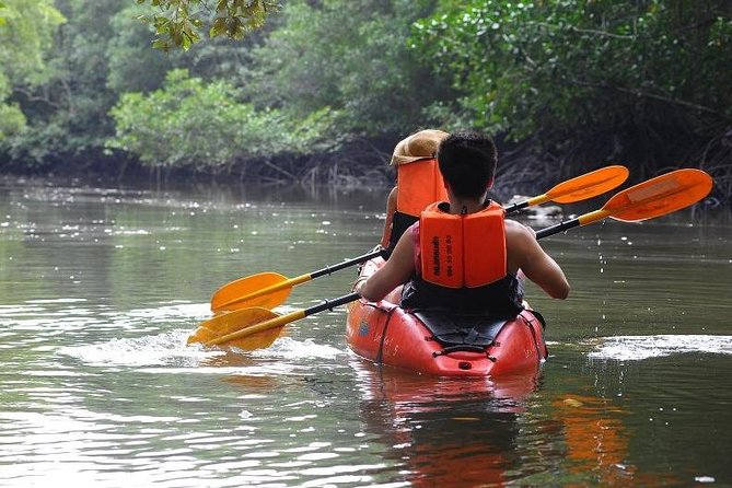 Deep Mangrove and Canyon Kayak Tour in Krabi - Limestone cliffs, lagoons, and jungle channels