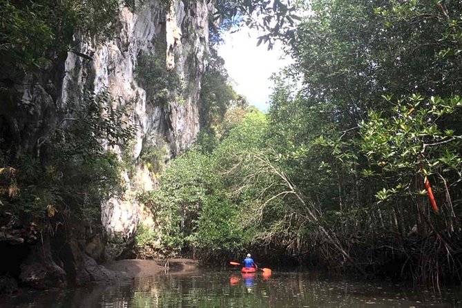 Deep Mangrove and Canyon Kayak Tour in Krabi - The 8:00 am pickup and ride to the pier