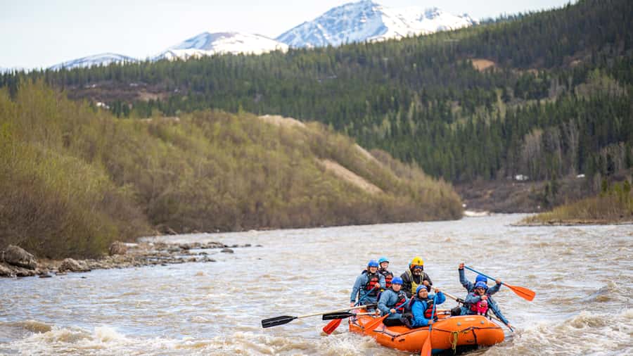 Denali, Alaska: Canyon Wave Raft Class III-IV Paddle/Oar - What the $140 price gets you on the Nenana River