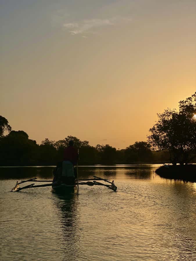 Diani: Sunset Canoe Tour along the River with Mangroves - Key points to know before you go