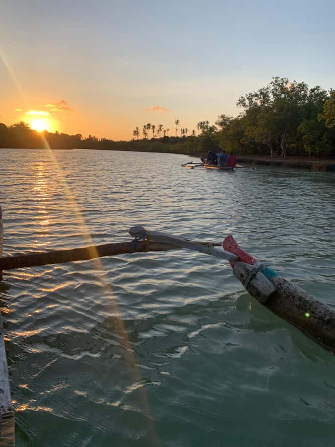 Diani: Sunset Canoe Tour along the River with Mangroves - Omari brings the river to life