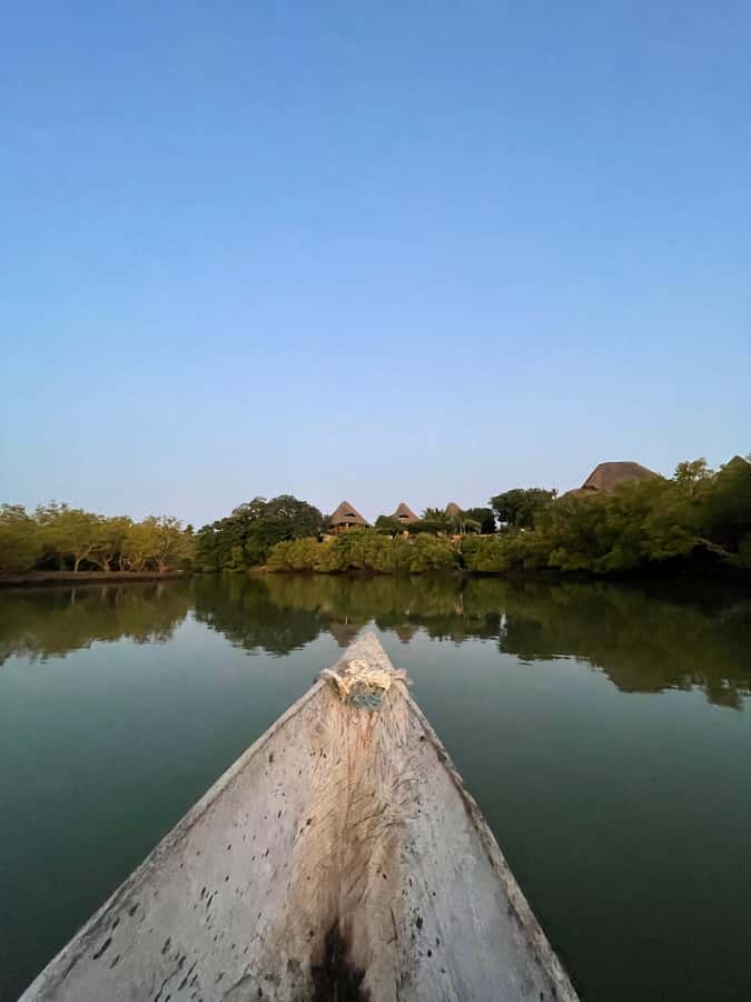 Diani: Sunset Canoe Tour along the River with Mangroves - Should you book the Diani sunset canoe tour?