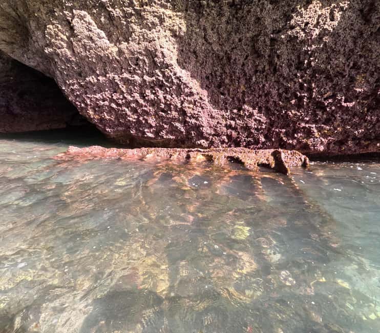 Discover Benagil Caves on a Guided Paddle-boarding Tour - The guides and the feel of the tour