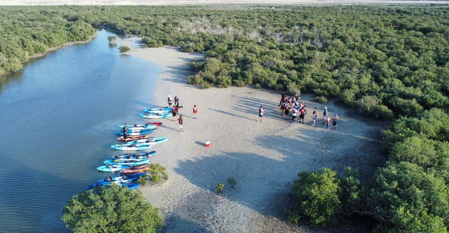 Discover Purple Island | Guided Mangrove Kayaking Experience - Paddling through the mangrove channels