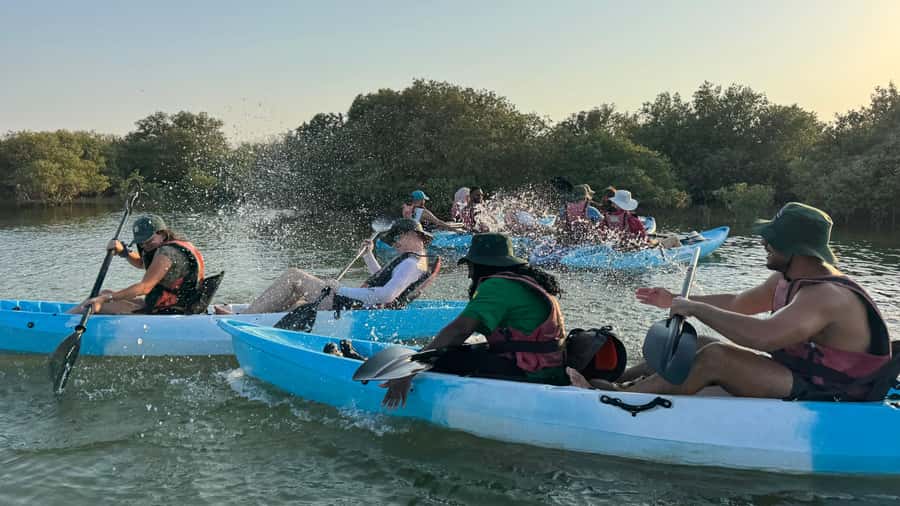 Discover Purple Island | Guided Mangrove Kayaking Experience - Practical packing advice for a cooler, easier outing