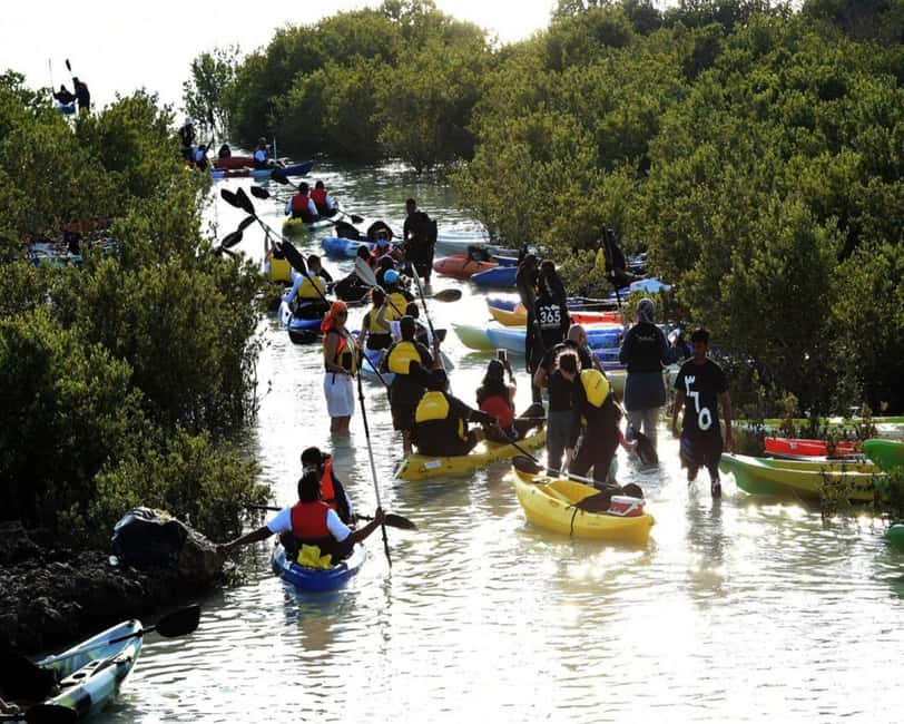 Doha: Private Purple Island Mangroves Kayaking Adventure - Who will enjoy this outing most?