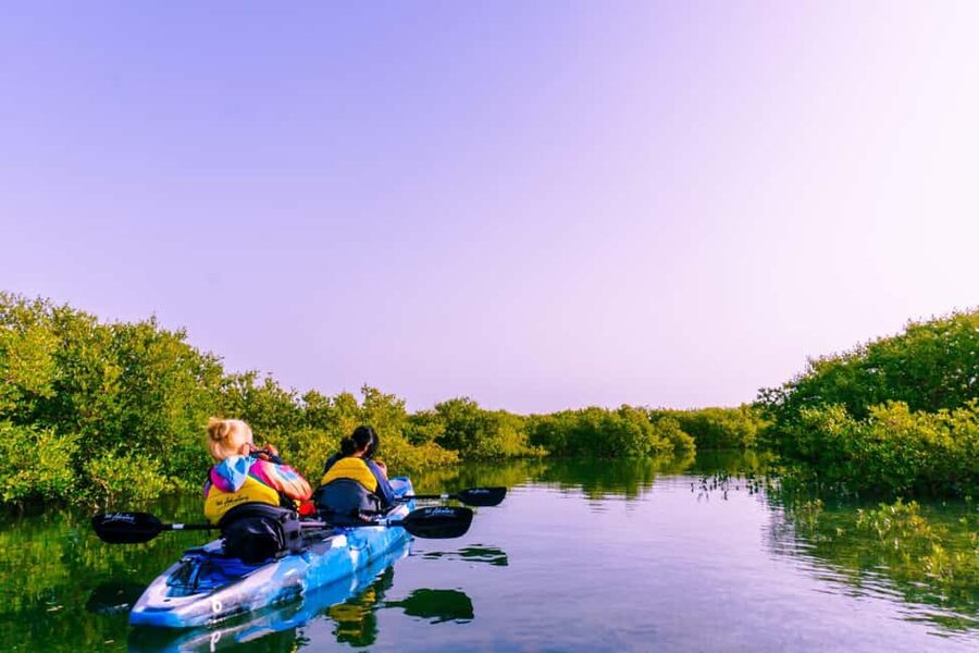 Doha: Private Purple Island Mangroves Kayaking Adventure - Al Thakira’s green water and mangrove channels