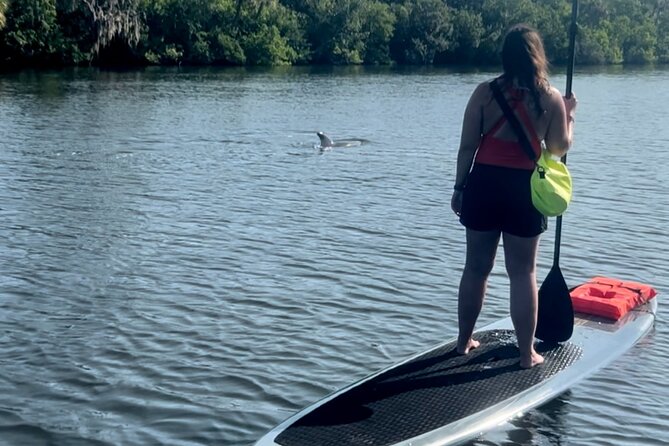 Dolphin and Manatee Kayak and SUP Adventure Tour of Cocoa Beach - Starting at the Banana River Manatee Refuge