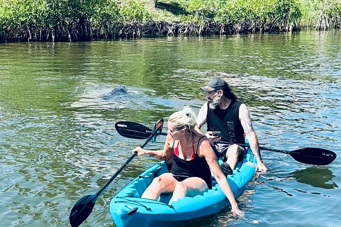 Dolphin and Manatee Kayak and SUP Adventure Tour of Cocoa Beach - The guides add more than basic instruction