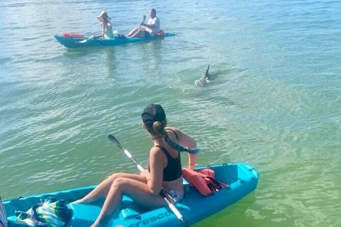 Dolphin and Manatee Kayak Tour of Daytona Beach - Key points to know before you book