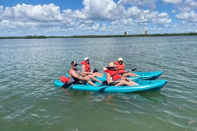 Dolphin and Manatee Kayak Tour of Daytona Beach - Paddling the 25-mile Halifax River