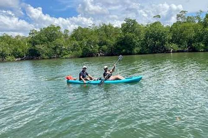 Dolphin and Manatee Kayak Tour of Daytona Beach - Who will enjoy this Daytona paddle