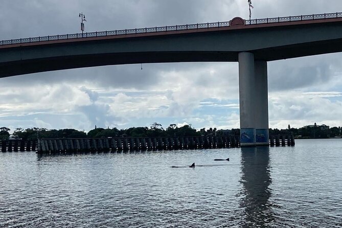 Dolphin and Manatee Stand Up Paddleboard Tour in Daytona Beach - Canals, dolphins, and manatee country