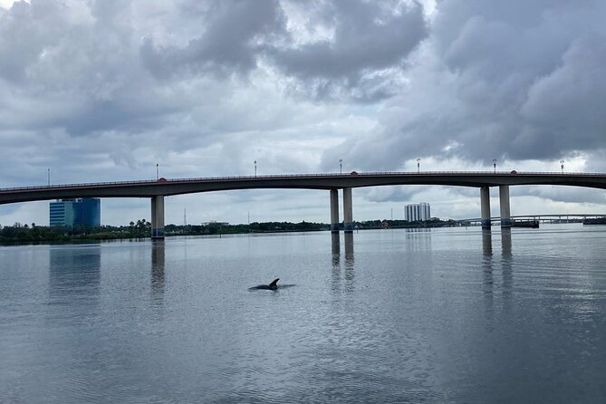 Dolphin and Manatee Stand Up Paddleboard Tour in Daytona Beach - Is it suitable for families and older beginners?
