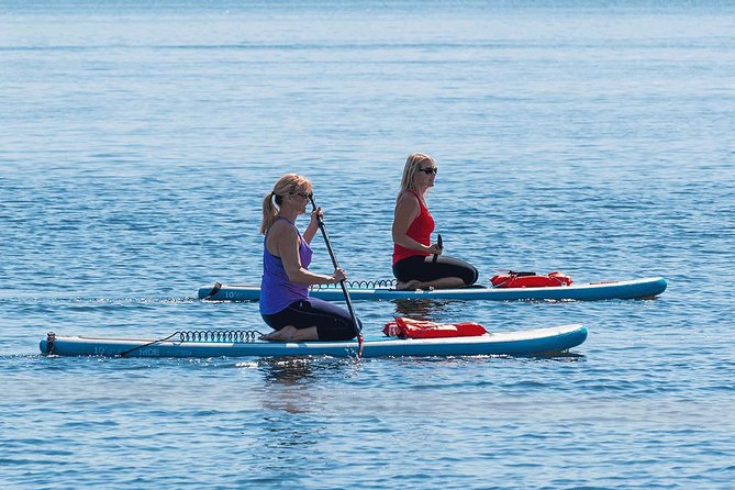 Dolphin and Manatee Stand Up Paddleboard Tour in Daytona Beach - The island loop and seven bridges