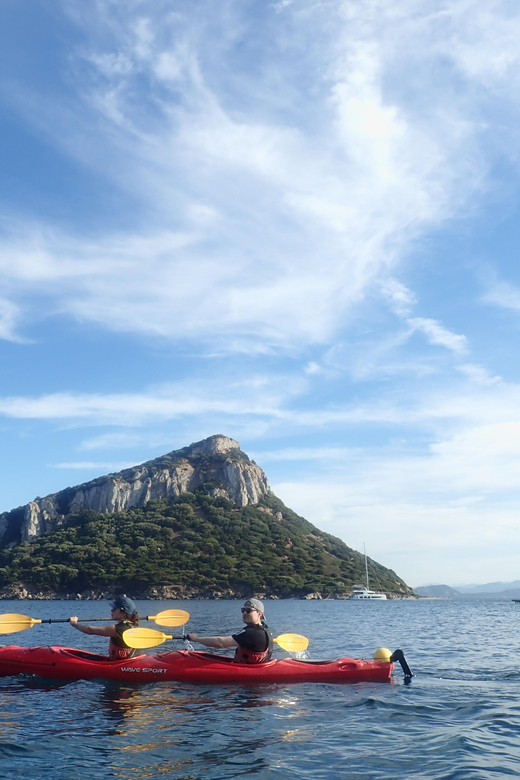 Dolphin Kayak Safari at Sunset at Golfo Aranci - Key points to know before booking