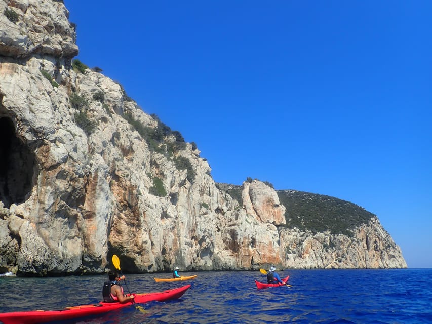 Dolphin Kayak Safari at Sunset at Golfo Aranci - Practical advice for a smoother evening