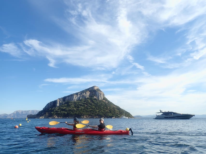 Dolphin Kayak Safari at Sunset at Golfo Aranci - Is $62 a good price?