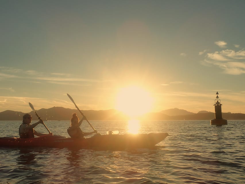 Dolphin Kayak Safari at Sunset at Golfo Aranci - Starting from Prima Spiaggia with a clear plan