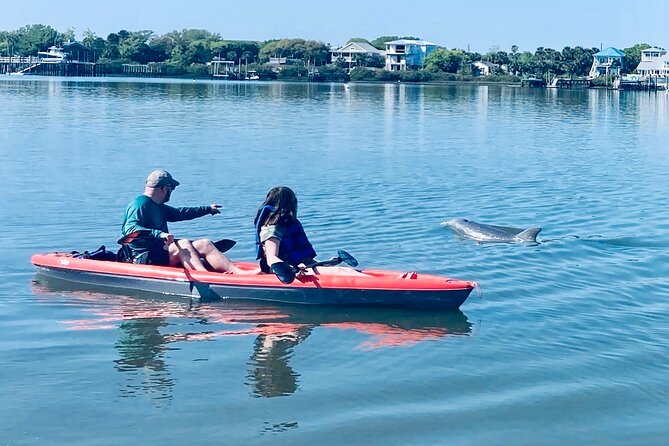 Dolphin, Manatee and SeaTurtle SUP Adventure Tour of St Augustine - Quick points before you book