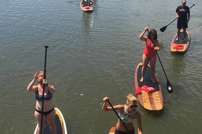 Dolphin, Manatee and SeaTurtle SUP Adventure Tour of St Augustine - Is $65 a fair price?