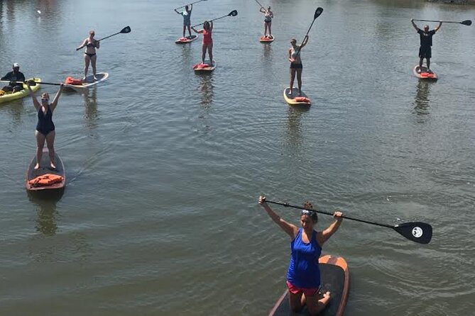Dolphin, Manatee and SeaTurtle SUP Adventure Tour of St Augustine - Weather, scheduling, and practical concerns