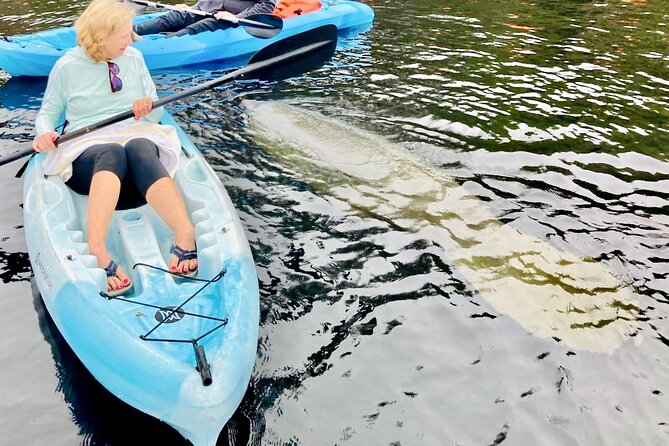 Dolphin, Manatee and SeaTurtle SUP Adventure Tour of St Augustine - Who should book this St. Augustine paddle?